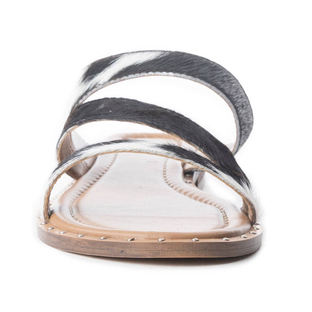 Ranch Ridge Slides In Black & White